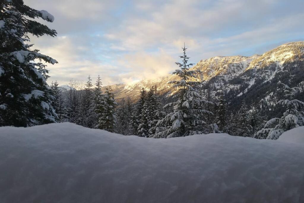 Hot Tub Cool Views: Roaring Creek Cabin Лівенворт Екстер'єр фото